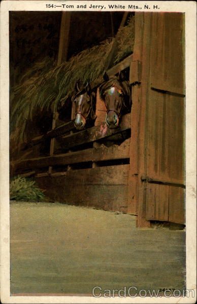 Tom & Jerry Plymouth New Hampshire