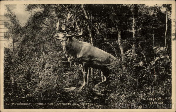 The Caribou, Bowring Park, St. Johns, Newfoundland Canada