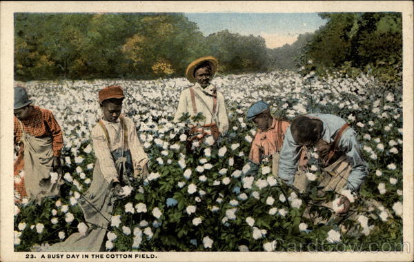 A busy day in the cotton field Black Americana