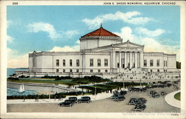 John G. Shedd Memorial Aquarium Chicago Illinois
