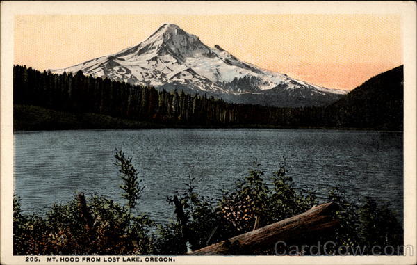 Mt. Hood Lost Lake Oregon