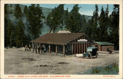 Tower Fall Store and Shop, Yellowstone Park Postcard