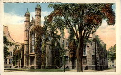 The Old Library, Yale University, New Haven, Conn Postcard