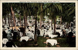 Afternoon Tea, Cocoanut Grove Postcard
