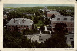 The Campus, University of N.H., Durham, N.H New Hampshire Postcard Postcard