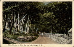 White Birches at Silver Bay Lake George, NY Postcard Postcard