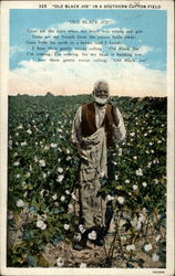 Old Black Joe in a Southern Cotton Field Postcard