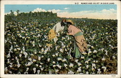 Romeo and Juliet in Dixie-land Postcard