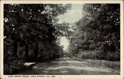 Lake Shore Drive Postcard