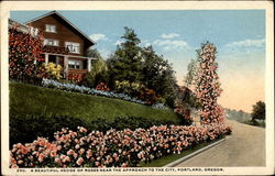 A Beautiful hedge of roses near the approach to the city Postcard