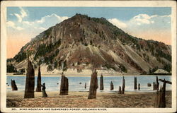 Wind Mountain and Submerged Forest, Columbia River Postcard