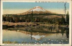 Near Government Camp, Mt. Hood Lopp Highway, Oregon Postcard