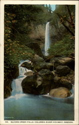 McCord Creek Falls, Columbia River Highway, Oregon Postcard