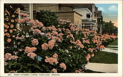 Rose Covered Lawns Postcard