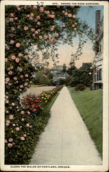 Stock #199517 Thumbnail