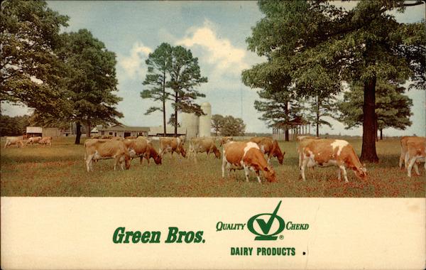 Green Bros. Guernsey Farm Bastrop Louisiana