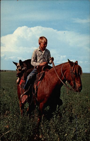 Cap the Cattle Dog Dogs