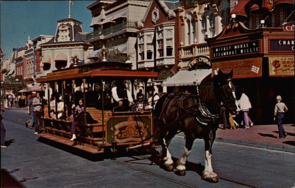 Walt Disney World Horses