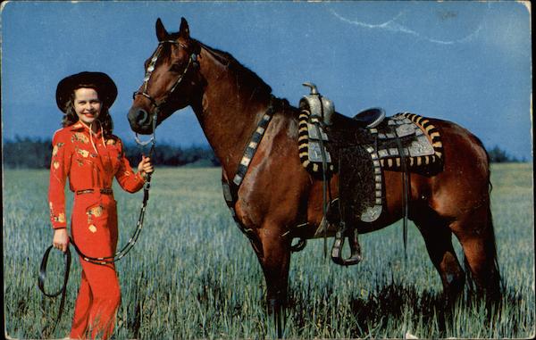 On the Range Cowboy Western