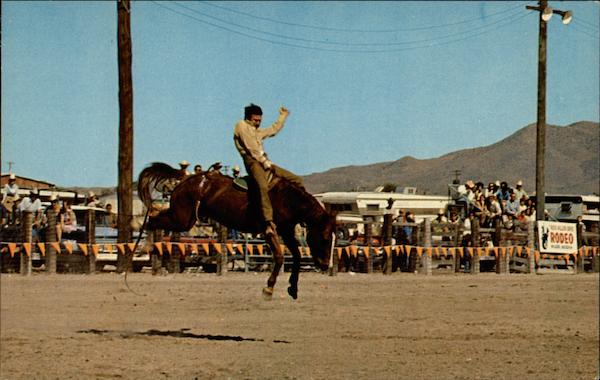 Rex Allen Days Rodeos
