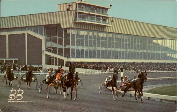 Blue Bonnets Canada Misc. Canada
