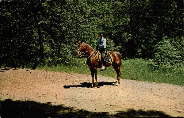 Mounted Patrol, Metropolitan District Commission Parks Boston Massachusetts