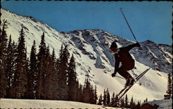 Exciting Ski Jumping in Ski Country, U.S.A Colorado Postcard Postcard