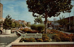 Shopping Park Postcard