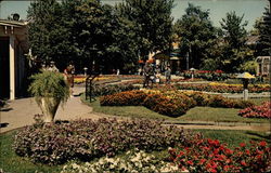 Elitch Gardens Denver, CO Postcard Postcard