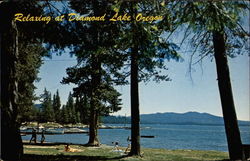 Relaxing at Diamond Lake Oregon Postcard