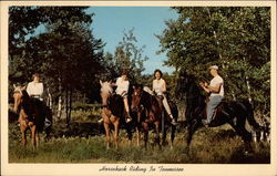 Horseback Riding in Tennessee Horses Postcard Postcard