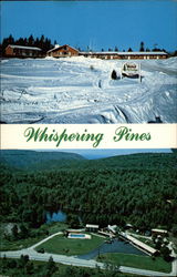 Whispering Pines Postcard