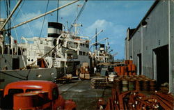 Dock Scene Postcard