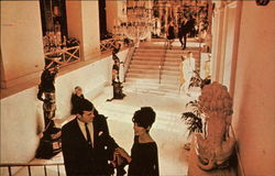 Royal Orleans Hotel Postcard