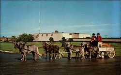 Owens Country Sausage of Richardson, Texas, 8-Pony Hitch Postcard