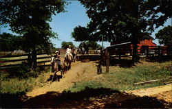 Scenic Trail Horseback Ride Postcard