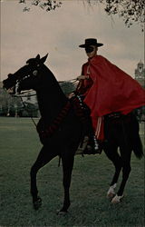 "Ride of the Red Raider"; Texas Tech University Postcard
