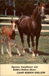 Equinox Sweetheart and Bobbin Hollow Abner Postcard