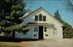 American Saddle Horse Museum Postcard