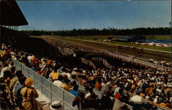 Hollywood Park, Inglewood California Postcard