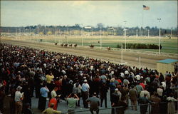 Lincoln Downs Race Track Postcard