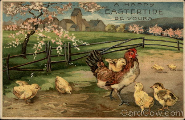 Hen With Brood of Chicks in Springtime Landscape With Chicks