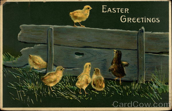 Barnyard Chicks With Chicks