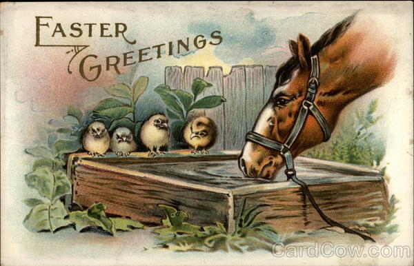 Chicks at a watering hole with a horse With Chicks