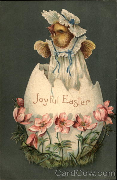 Chick Dressed in White Hatching From an Egg With Chicks