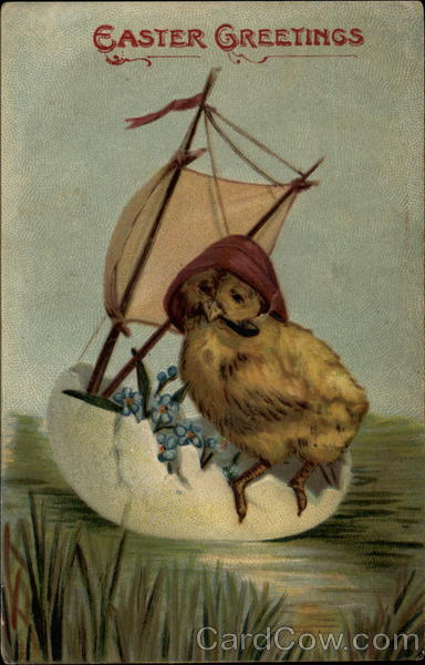 Sailing Chick With Chicks