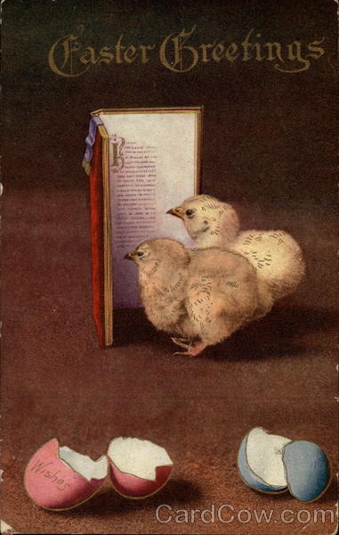 Chicks Reading A Book With Chicks