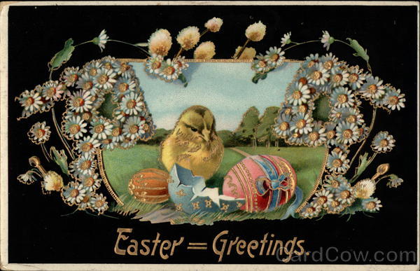 Sweet Little Chick with his eggs With Chicks