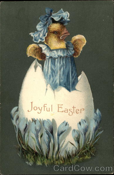 A Elegant Baby Chick Popping Out Of An Egg With Chicks