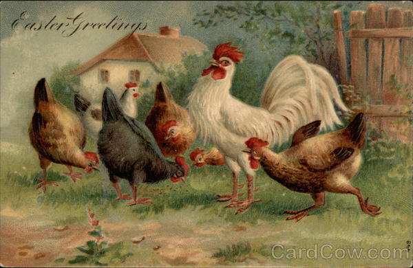 A White Rooster and His Six Hens With Other Animals